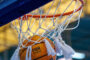 MOG-Basketball | KW 17-2024